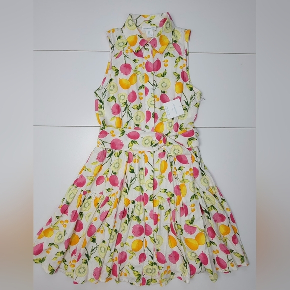 Cynthia Rowley Linen Blend Tiered Button Belted DressLined-Skirt Fruits Sz 4 New - Picture 1 of 14
